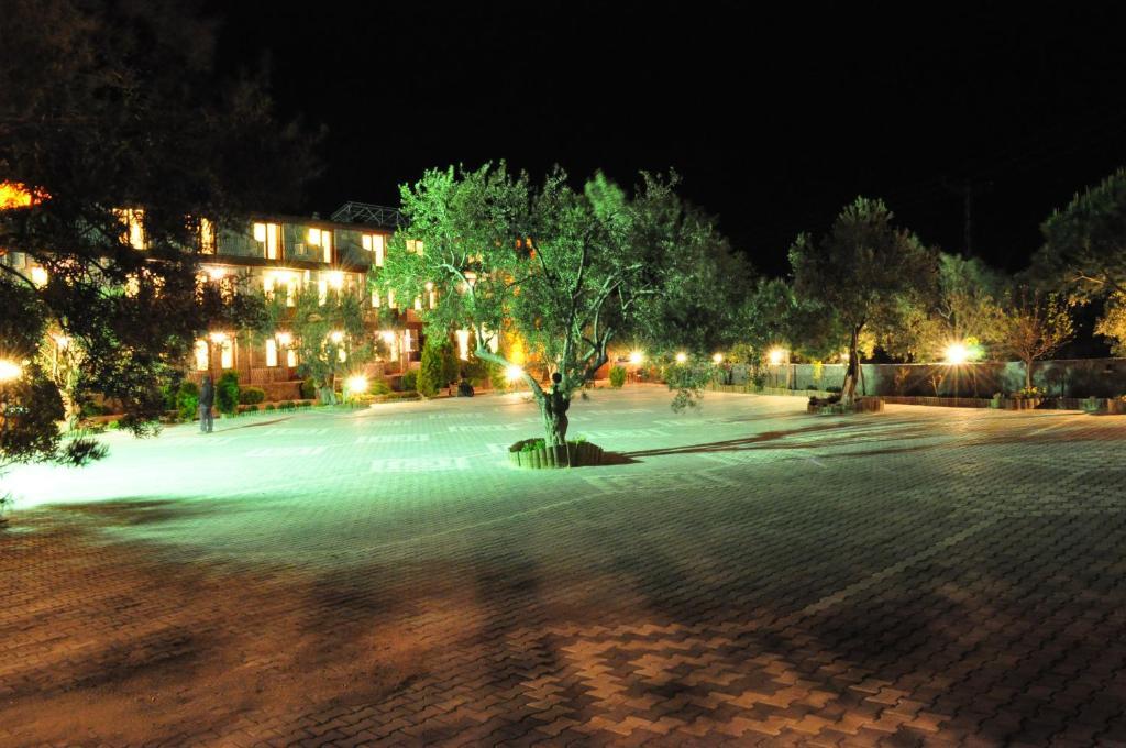 Assos Park Hotel Bagian luar foto